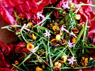 A vibrant salad