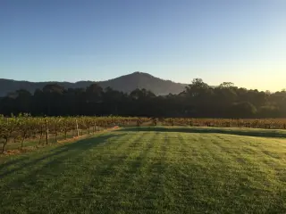 Cambewarra Estate
