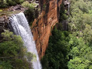 Fitzroy Falls