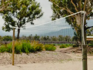 Volleyball