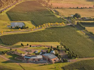 Southern Highland Wines
