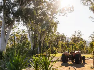 Orange tractor
